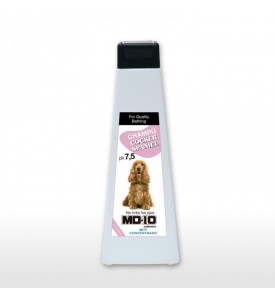 Champú Cocker Spaniel