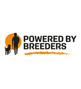 Neo breeder Puppy-Lamb 12kg