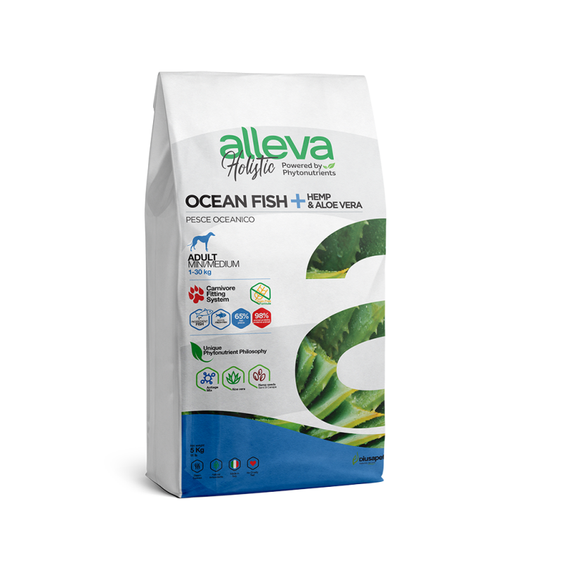 Adulto Pescado Oceánico Mini